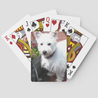 Entzückende Westie Spielkarten