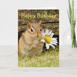 Entzückender BabyChipmunk mit Gänseblümchen - Karte