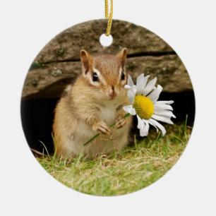 Entzückender BabyChipmunk mit Gänseblümchen Keramikornament