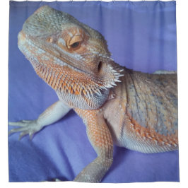 Entzückender bärtiger Drache herauf nahes Duschvorhang