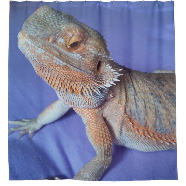 Entzückender bärtiger Drache herauf nahes Duschvorhang (Vorderseite)