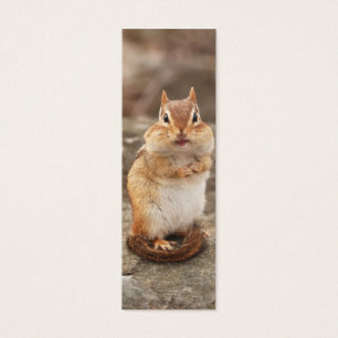 Entzückender Chipmunk