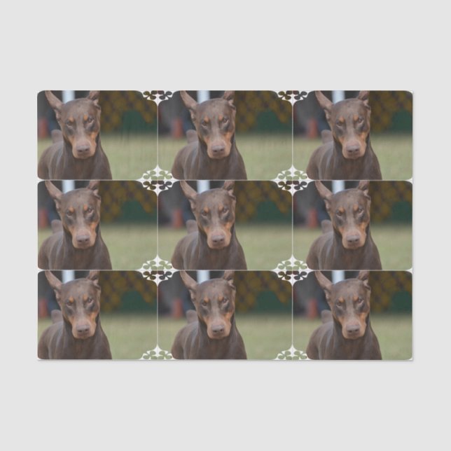 Entzückender DobermannPinscher Seidenpapier (Vorderseite)