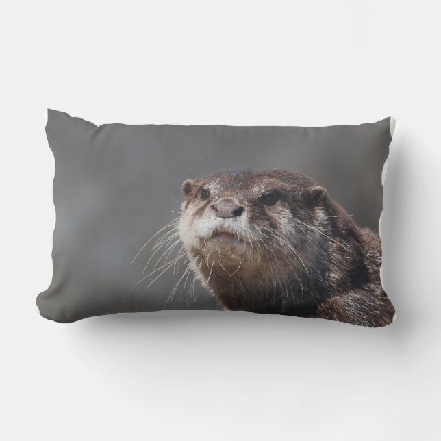 Entzückender Fluss-Otter Lendenkissen (Vorderseite)