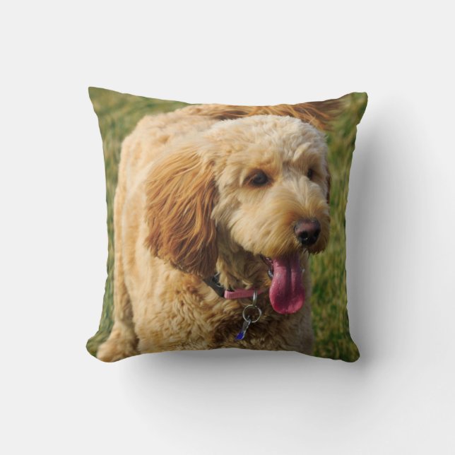 Entzückender goldener Gekritzel-Hund Kissen (Vorderseite)