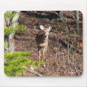 Entzückender Hirsch im Wald Naturfotografie Mousepad