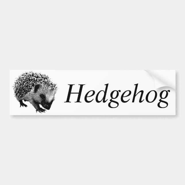 Entzückender Igel. Tier-Digital-Stich Autoaufkleber (Vorne)