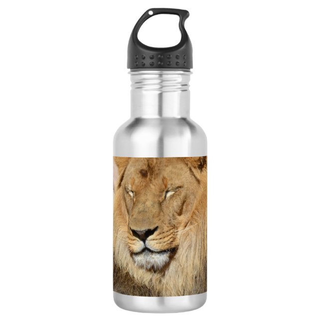 Entzückender Löwe Edelstahlflasche (Vorderseite)