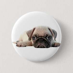 entzückender Mopswelpe Button