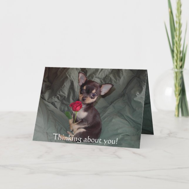 Entzückender niedlicher Babychihuahua-fröhliche Karte (Vorderseite)