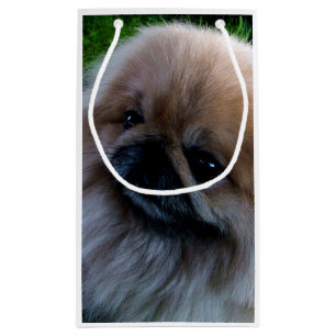 Entzückender Pekingese Welpe Kleine Geschenktüte