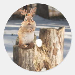 Entzückender "Ren" Chipmunk Runder Aufkleber