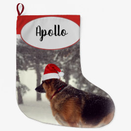 Entzückender Schäferhund in der Großer Weihnachtsstrumpf