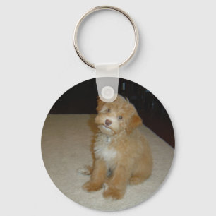 Entzückender Schnoodle Welpe Schlüsselanhänger