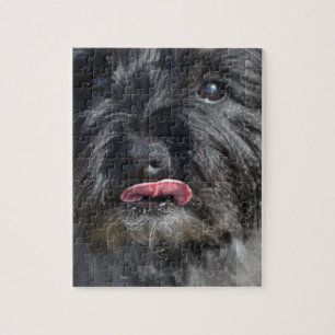 Entzückender Steinhaufen Terrier
