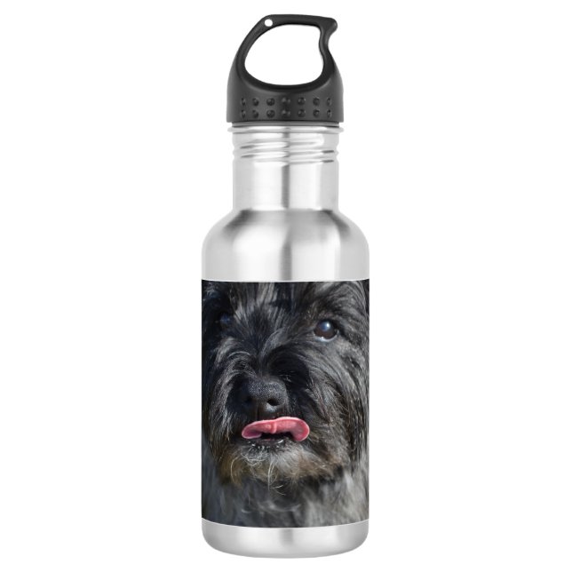 Entzückender Steinhaufen Terrier Edelstahlflasche (Vorderseite)