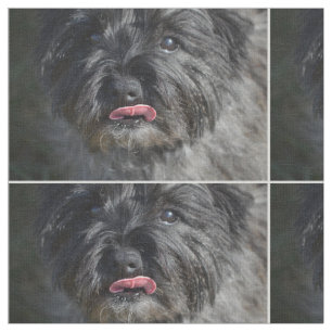 Entzückender Steinhaufen Terrier Stoff