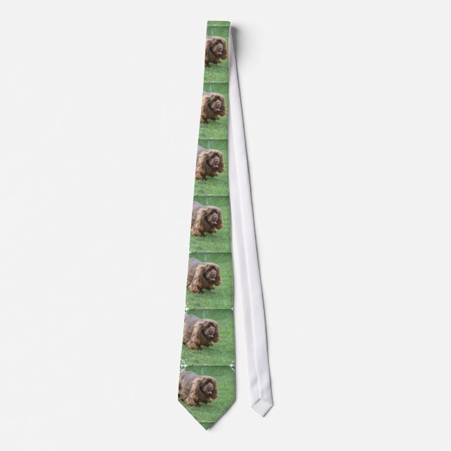 Entzückender SussexSpaniel Krawatte (Vorderseite)