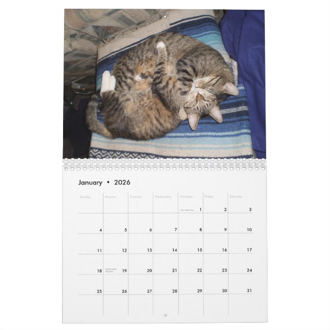 Entzückender Tierkalender Kalender (Jan 2026)