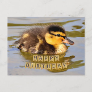 Entzückendes Babyentlein im Teich Alles Gute zum G Postkarte