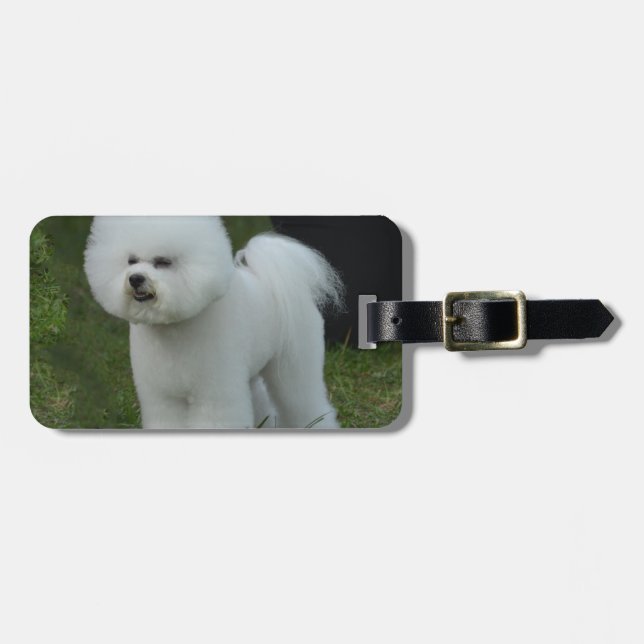 Entzückendes Bichon Gepäckanhänger (Vorderseite horizontal)