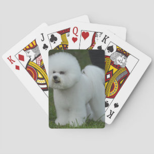 Entzückendes Bichon Spielkarten