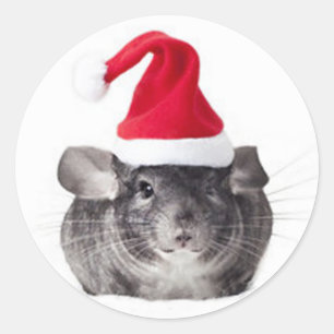 Entzückendes Chinchilla-Sankt-Modell Runder Aufkleber