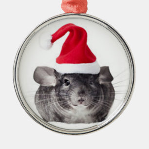 Entzückendes Chinchilla-Sankt-Modell Silbernes Ornament