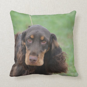 Entzückendes Cocker spaniel Kissen