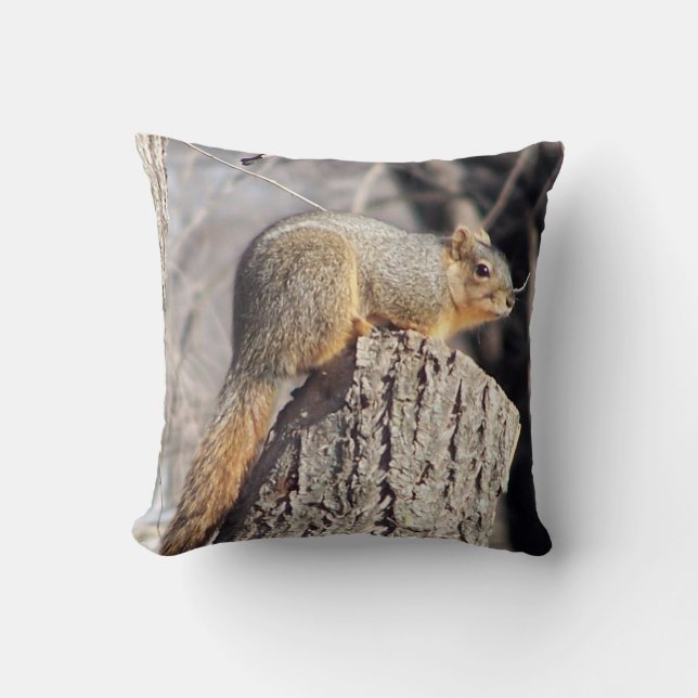 Entzückendes Eichhörnchen-Kissen Kissen (Vorderseite)