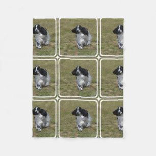 Entzückendes Englisch Cocker spaniel Fleecedecke