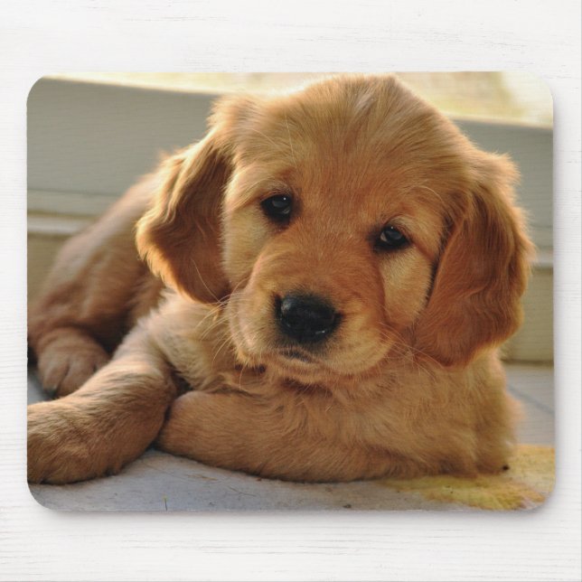 Entzückendes golden retriever-Hündchen Mousepad (Vorne)