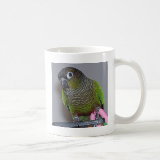 Entzückendes Greencheek Conure Kaffeetasse