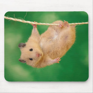 Entzückendes Hamster mousepad