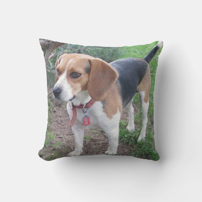 Entzückendes Houndie Beagle-Kissen Kissen (Vorderseite)