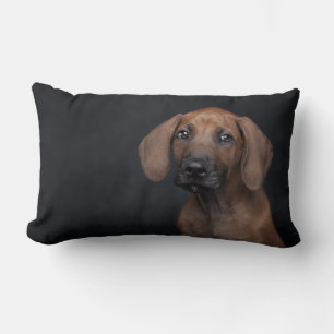 Entzückendes Rhodesian Ridgeback-Welpenporträt Hun Lendenkissen