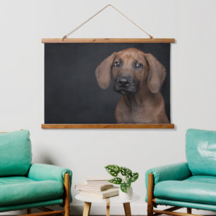 Entzückendes Rhodesian Ridgeback-Welpenporträt Hun Wandteppich Mit Holzrahmen