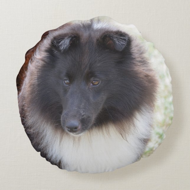 Entzückendes Sheltie Rundes Kissen (Rückseite)