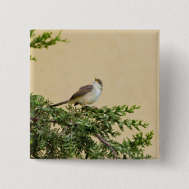 Entzückendes Spatzen-Vogel-Foto Button (Vorderseite)