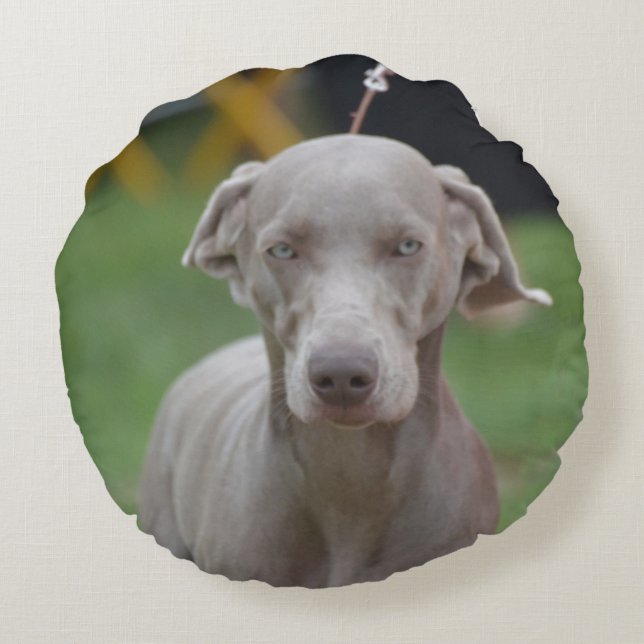 Entzückendes Weimaraner Rundes Kissen (Rückseite)
