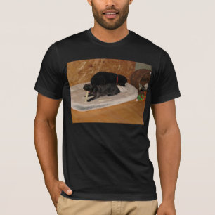 Entzückendes Yorkie-Poo T-Shirt