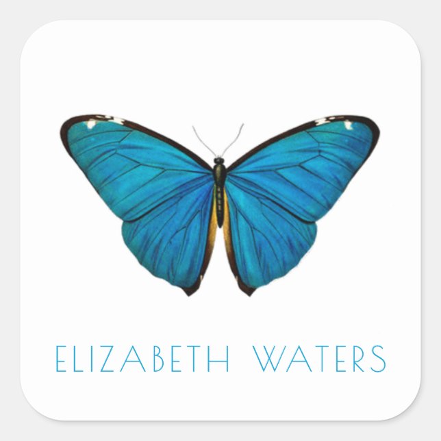 ENVELOPE SEAL STICKER : BLEU BUTTERFLY (Devant)