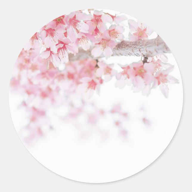 ENVELOPE SEAL STICKER : CHERRY BLOSSOM (Devant)