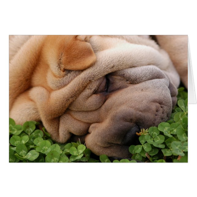 Enveloppé Autour De Ton Coeur (Devant horizontal)