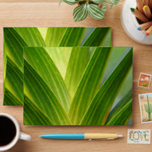 Enveloppe de mariage botanique vert élégant