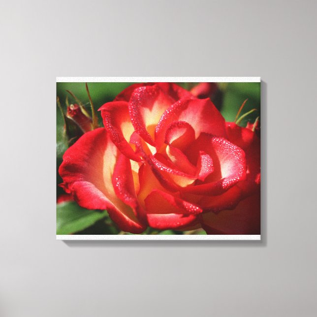 Enveloppe de toile rose (Recto)