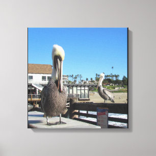 Enveloppement en toile - Pélicans sur la jetée