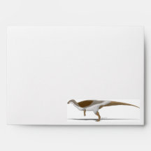 Enveloppes de thescelosaurus