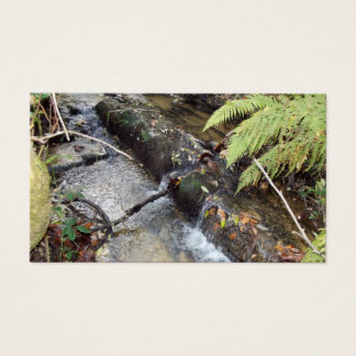 Environnement   Naturel Carte   Visite