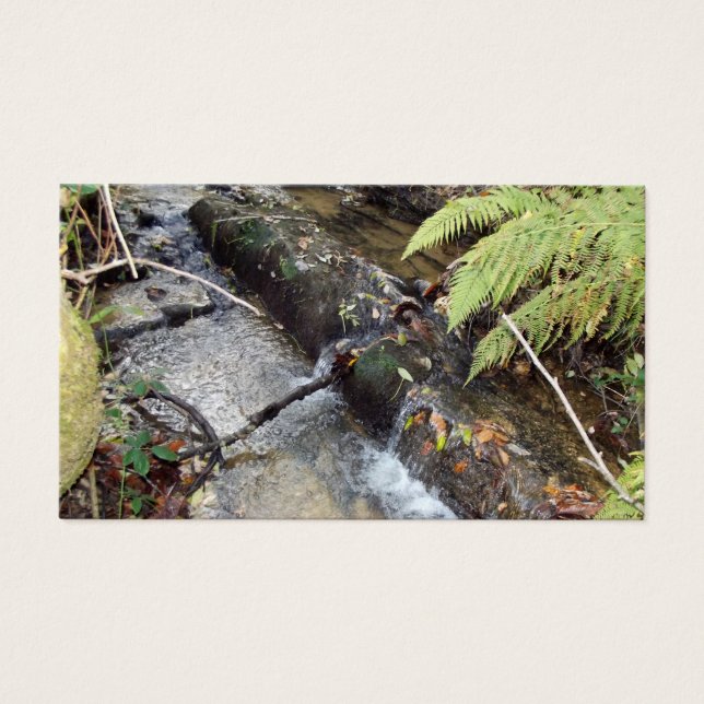 Environnement   Naturel Carte   Visite (Devant)
